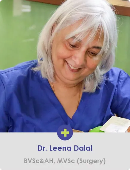 Dr. Leena Dalal veterinary surgeon with a profound expertise in surgical oncology and advanced imaging
