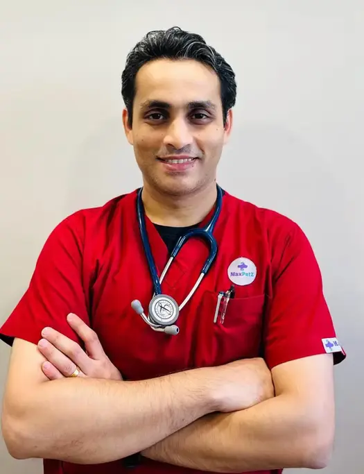 Dr. Deep Vasudeo Physiotherapy, Lameness, Neurology Specialist