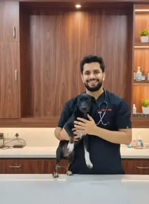 Dr. Ankit Kumar, veterinarian specializing in internal medicine and soft tissue surgery